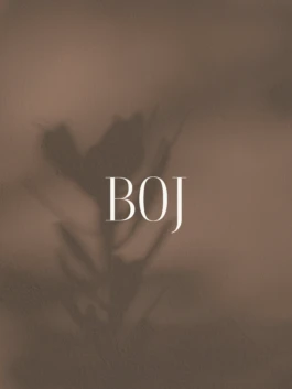 Logotipo de Boj 