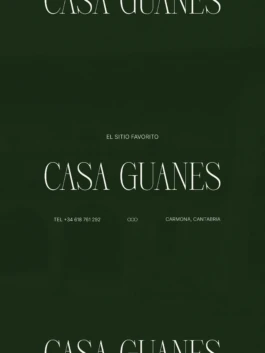 Aplicaciones de identidad visual Casa Guanes 