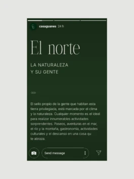 Diseño de Instagram Stories de Casa Guanes 