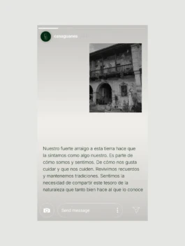 Diseño de Instagram Stories de Casa Guanes 