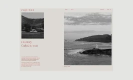 Prototipo web para Copines 