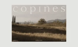 Identidad Visual de Copines aplicada a la web 